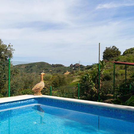 Live Finca El Gamonal Bajo Con Piscina Y Jardin En La Naturaleza Санта-Бріхіда Екстер'єр фото