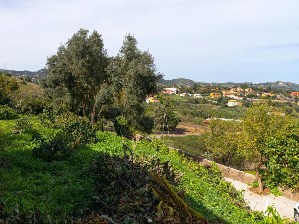 Live Finca El Gamonal Bajo Con Piscina Y Jardin En La Naturaleza Санта-Бріхіда Екстер'єр фото