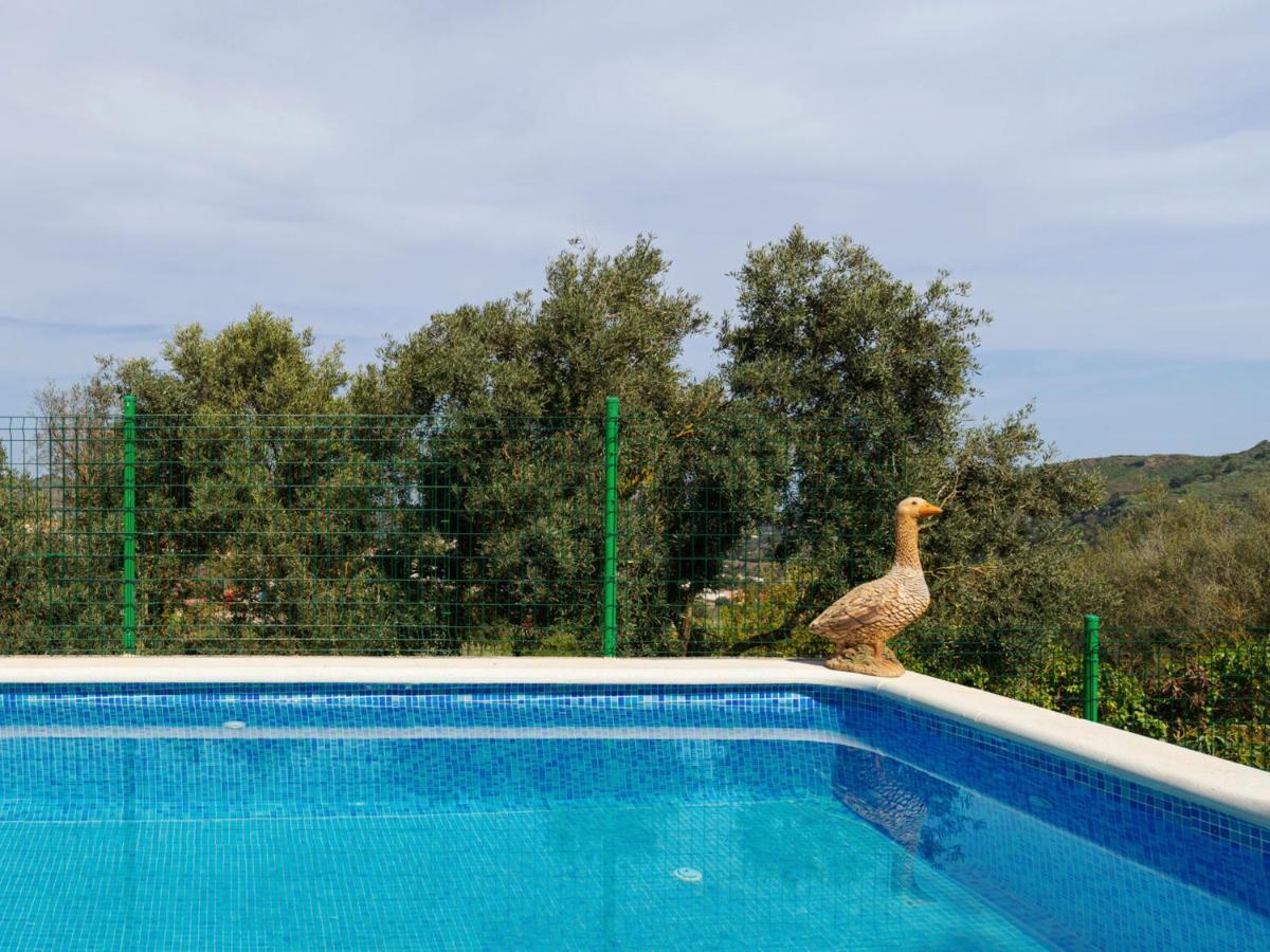 Live Finca El Gamonal Bajo Con Piscina Y Jardin En La Naturaleza Санта-Бріхіда Екстер'єр фото